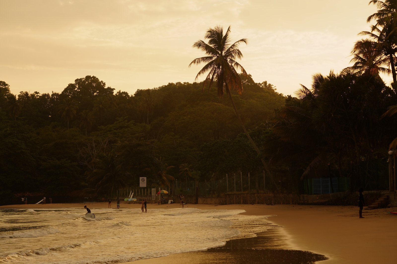 Surf progress at Dreamer's Surfhouse